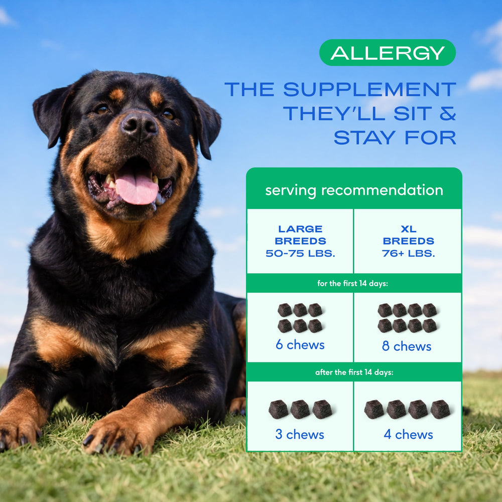 Native Pet Dog Allergy Chews aceite de algas, aporta grasas saludables para la piel.