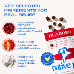 Native Pet Extracto de arándano: ingrediente activo para la salud urinaria.