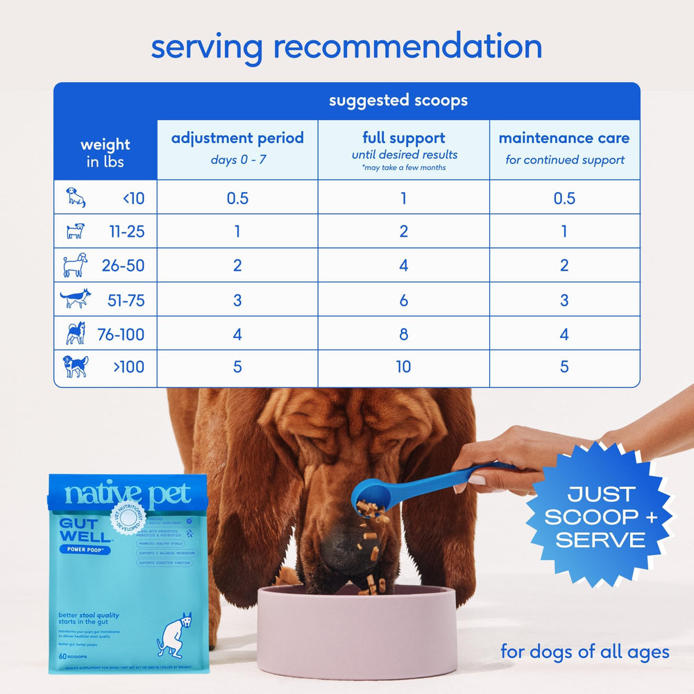 Native Pet GutWell Power Poop producido en Estados Unidos con altos estándares.