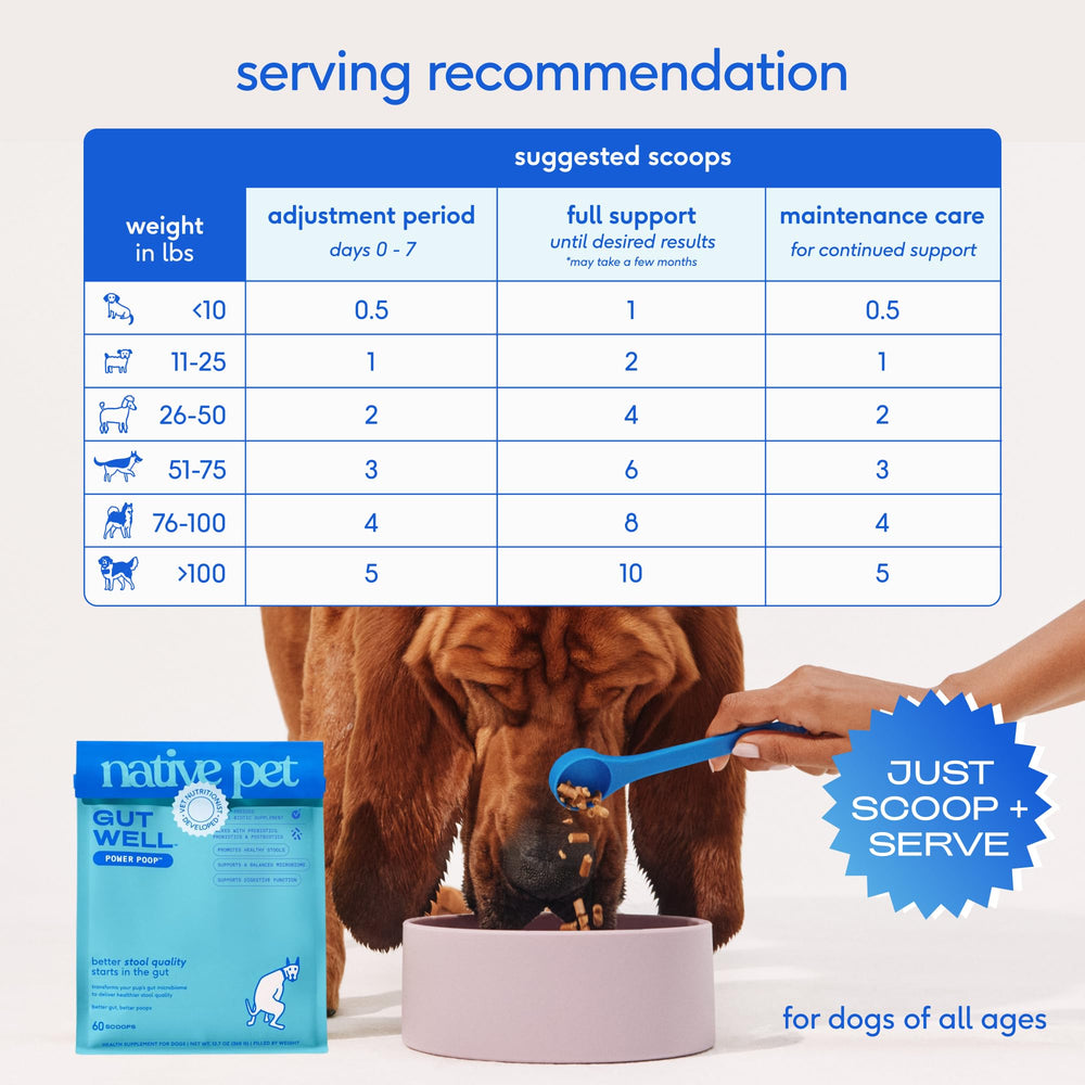Native Pet GutWell Power Poop: puede apoyar un microbioma equilibrado con fibra y probióticos.