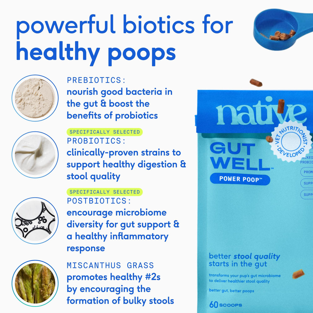 Native Pet GutWell Power Poop sin rellenos y con beneficios digestivos.