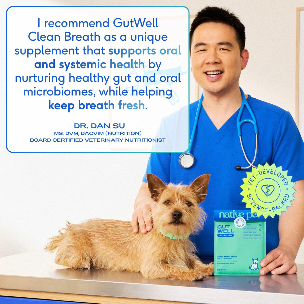 Native Pet GutWell zinc y algas pardas: soporte para dientes y encías