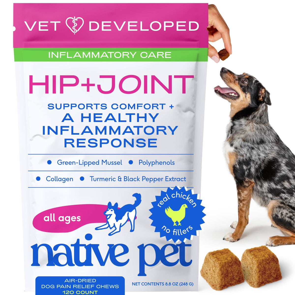 Native Pet Inflammatory Care: bote de croquetas masticables para perros, apoyo inflamatorio suave