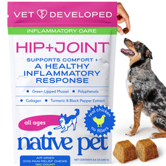Native Pet Inflammatory Care: bote de croquetas masticables para perros, apoyo inflamatorio suave