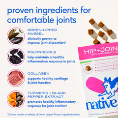 Native Pet Inflammatory Care: cúrcuma para inflamación y bienestar general