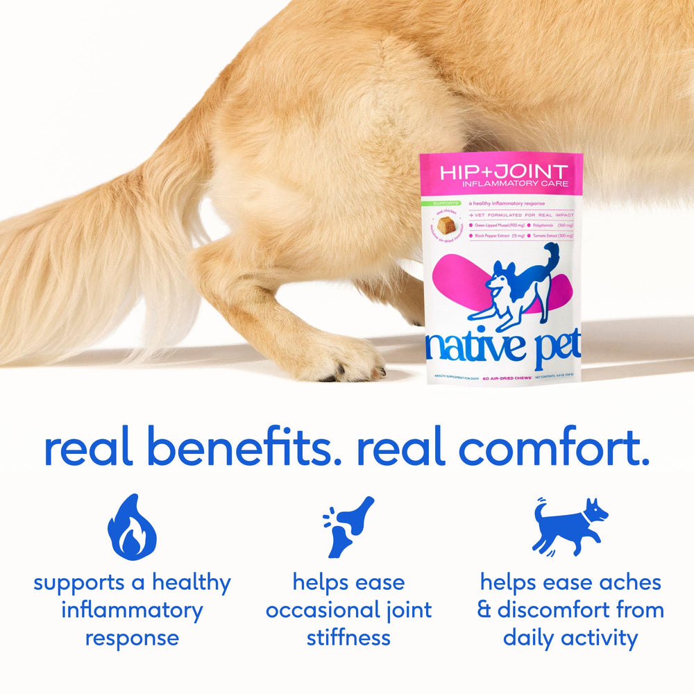Native Pet Inflammatory Care dog chew with a playful, active dog.