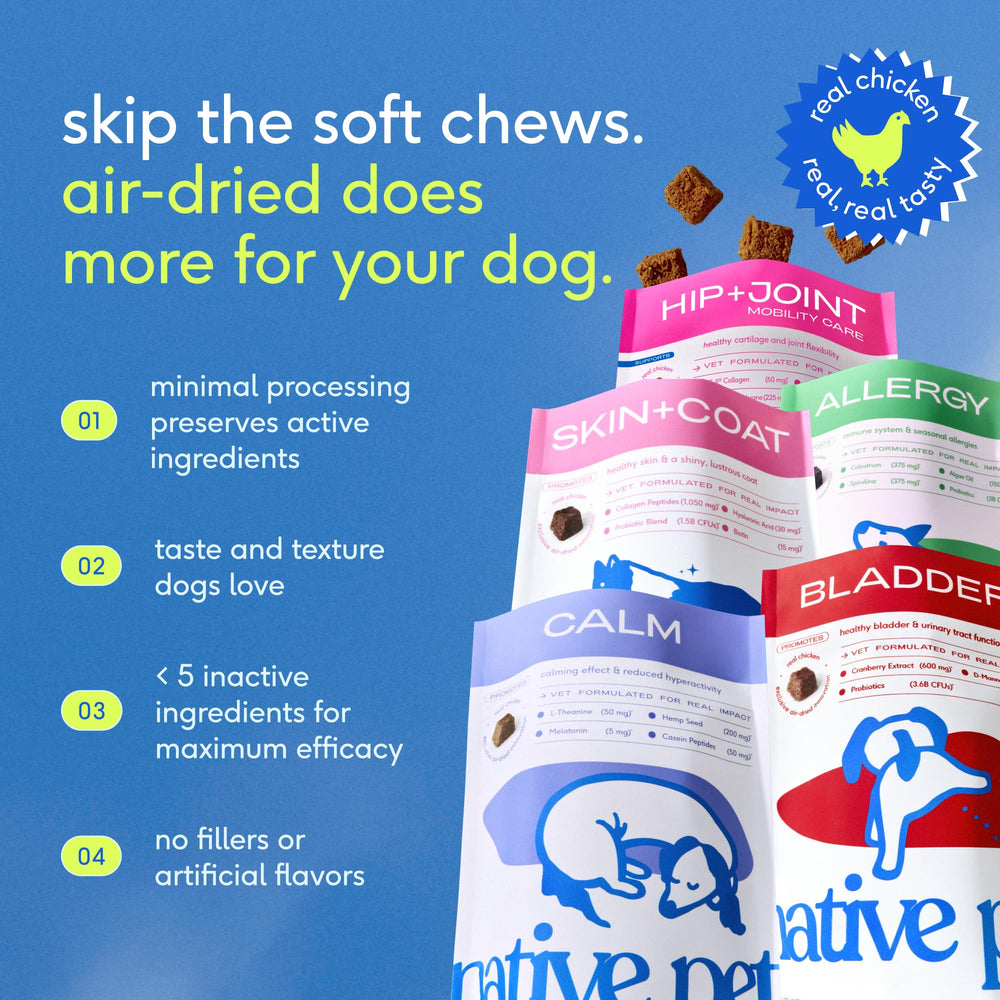 Native Pet Inflammatory Care: enfoque natural para soporte inflamatorio en perros