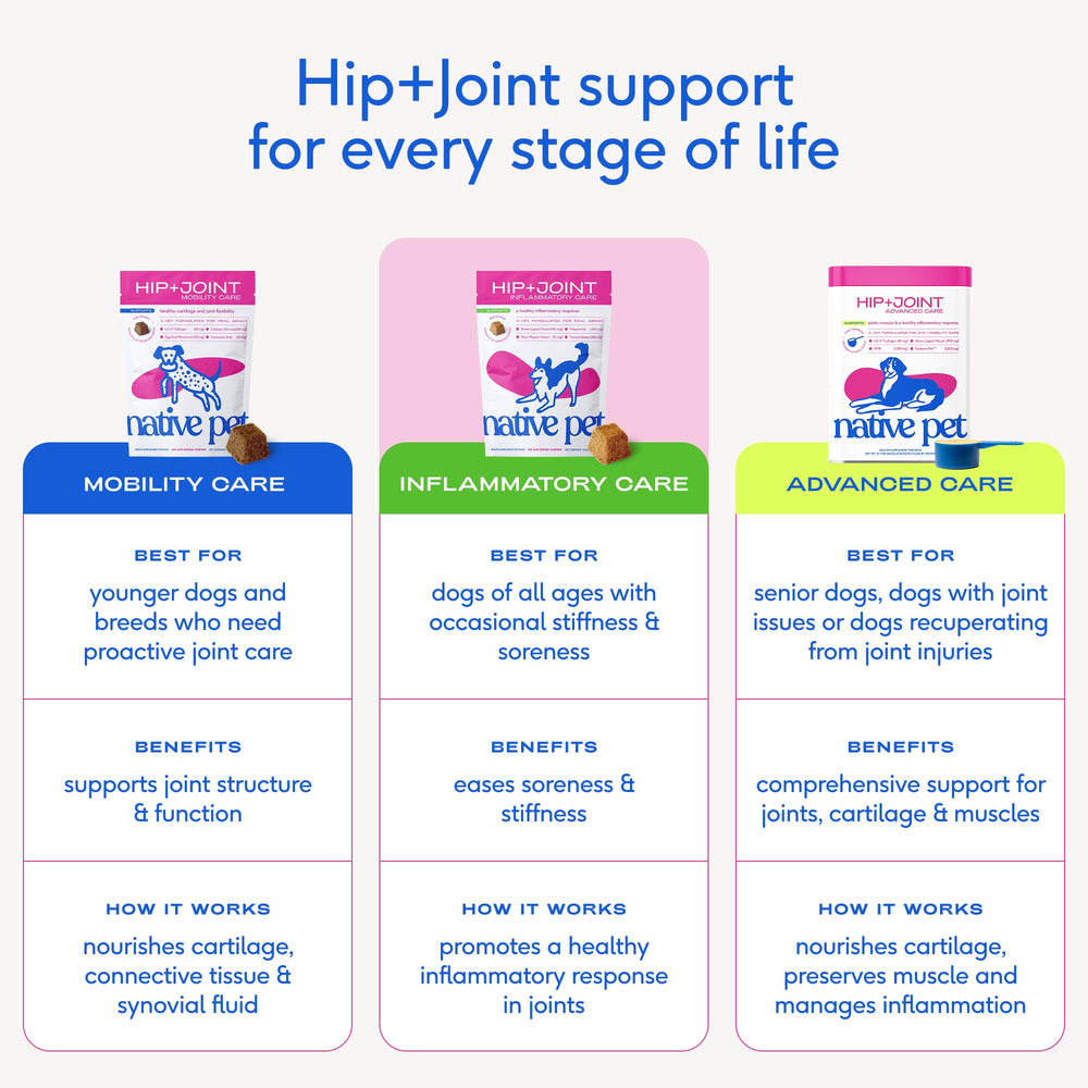 Native Pet Inflammatory Care packaging suitable for dogs of all sizes.