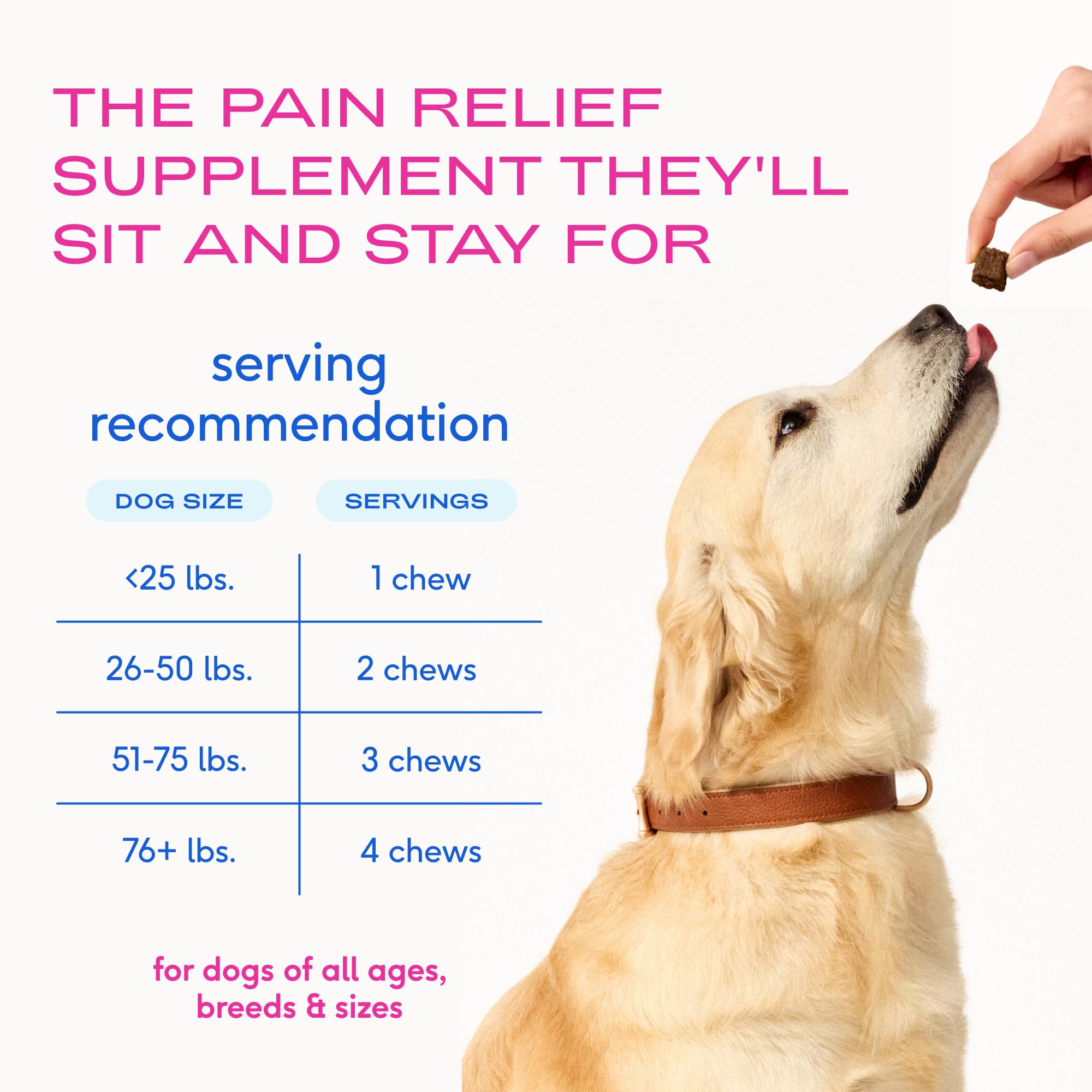 Native Pet Inflammatory Care dog enjoying daily chew during or after meals.