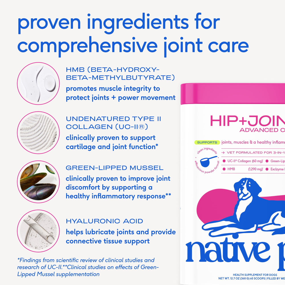 Native Pet mejillon verde ayuda respuesta inflamatoria natural en perros