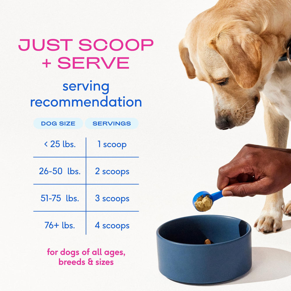 Native Pet polvo se mezcla con comida para absorción uniforme