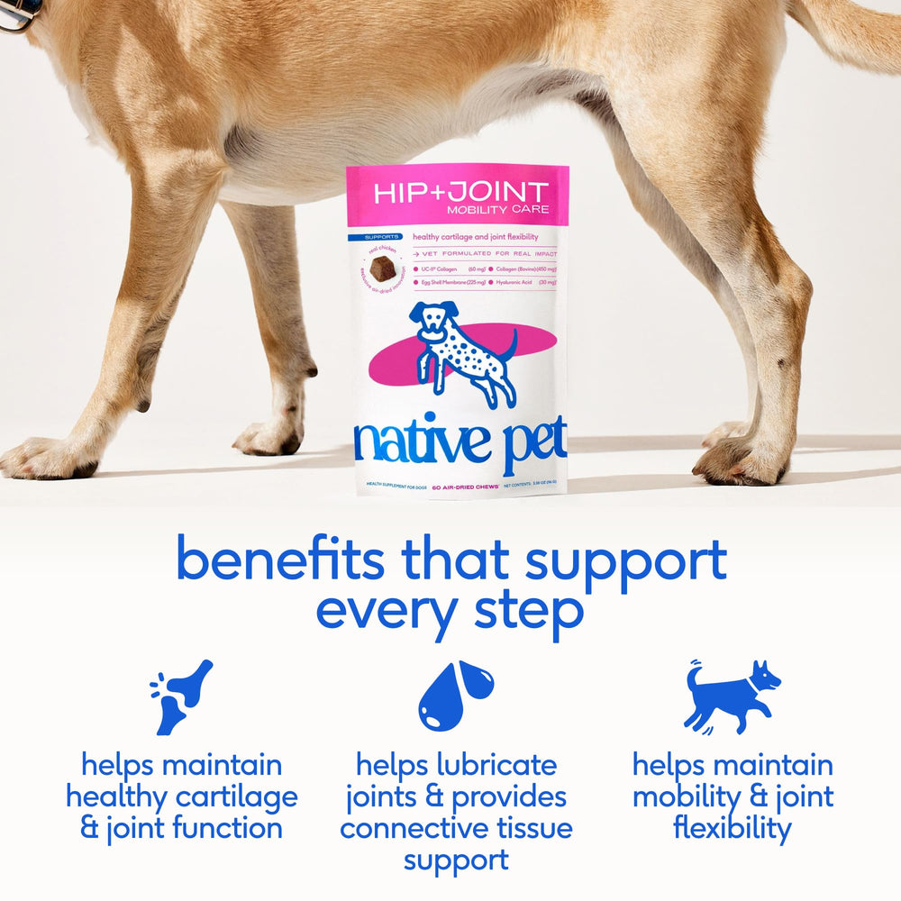 Native Pet Mobility Care gomitas con pollo para apoyar la movilidad diaria.