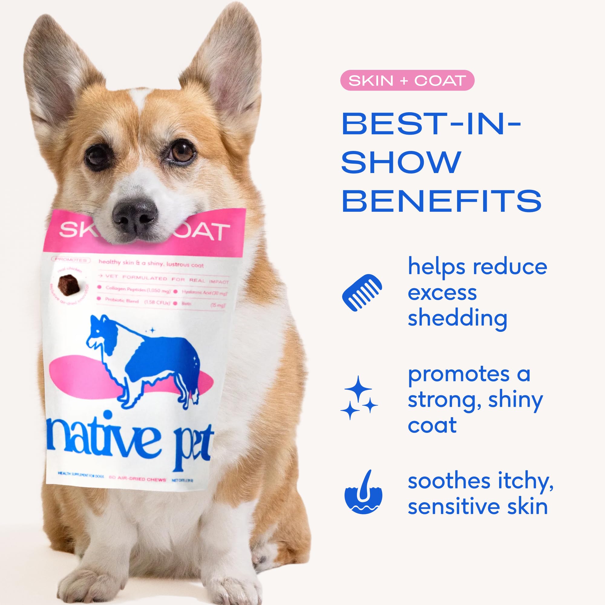 Native Pet Skin & Coat Chews: aceite de salmón omega-3 para pelaje suave.