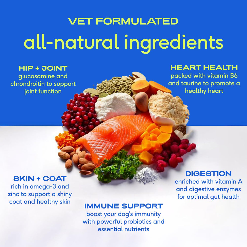 Native Pet The Daily Dog Vitamins 11-en-1 polvo de movilidad para perros.