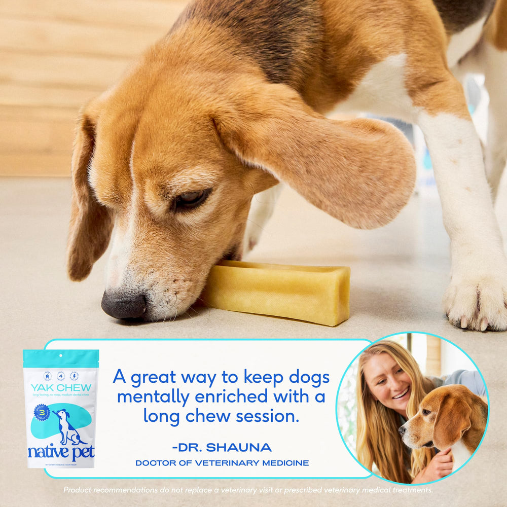 Premio de masticación para perros grandes con Yak Himalayo de Native Pet
