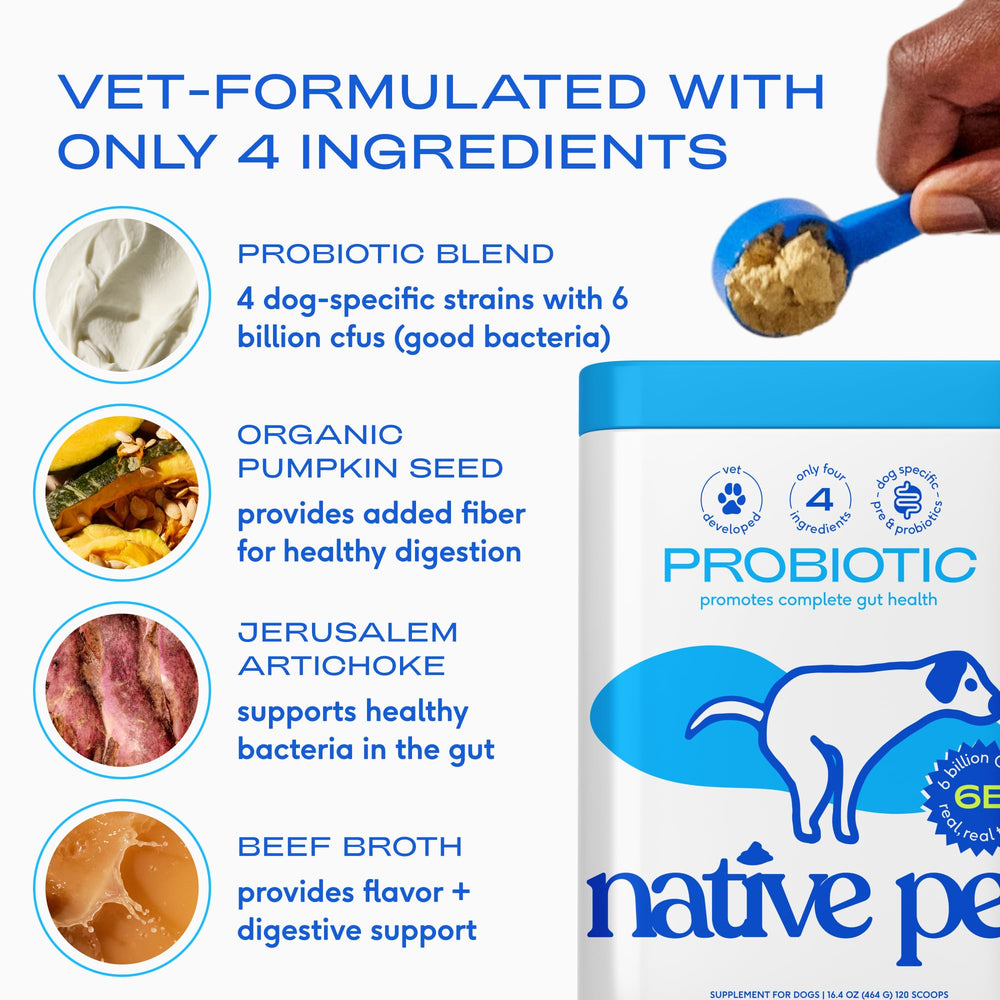Native Pet probióticos para perros: prebióticos y fibra con calabaza orgánica