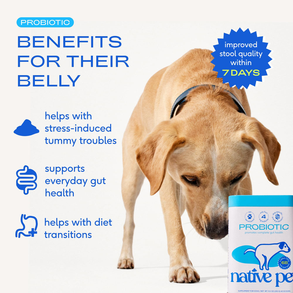 Native Pet Probiotics, cucharita medidora para dosificar fácilmente en la comida.