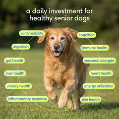 Native Pet Senior Dog Vitamins: cuchara de dosificación para dosis diaria.