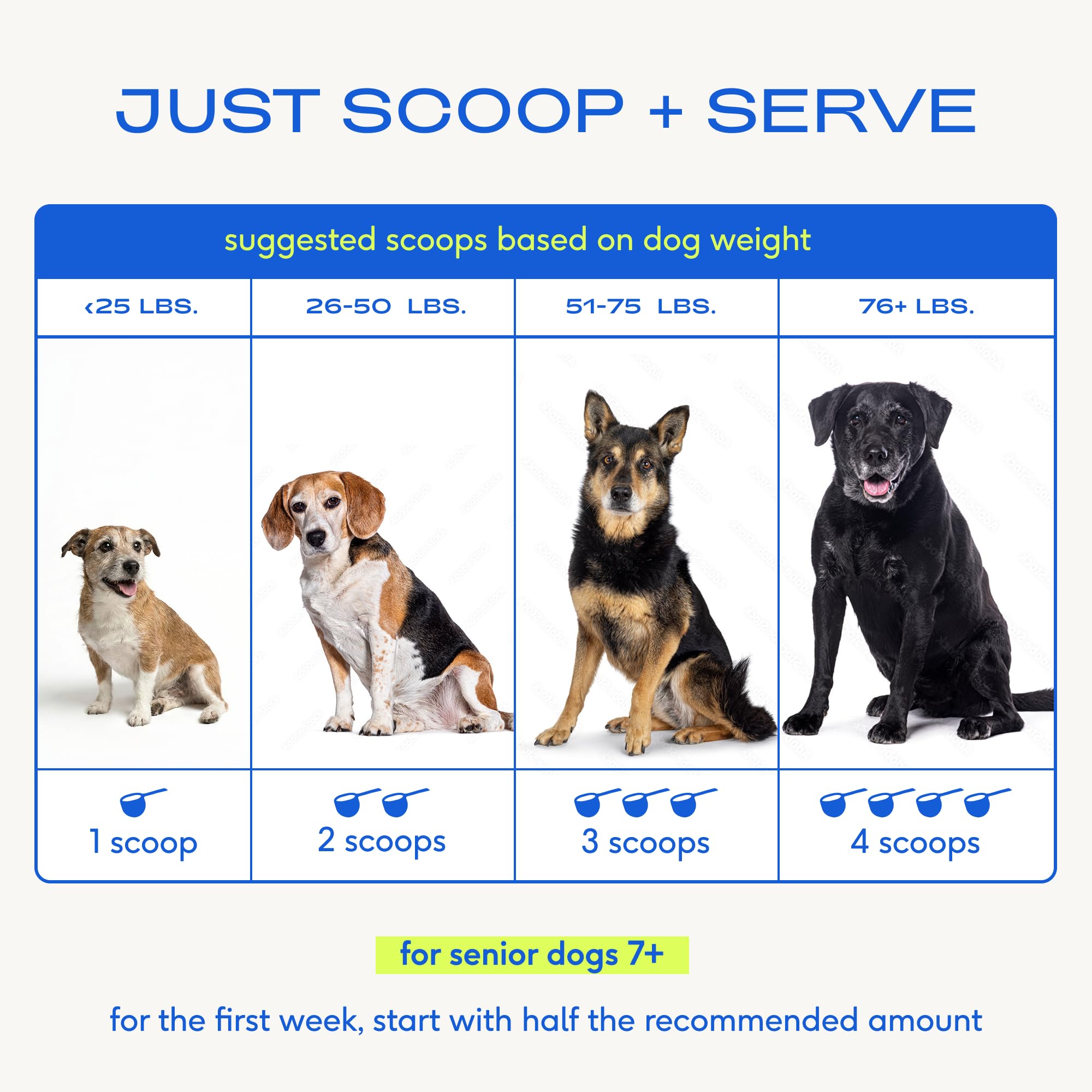 Native Pet Senior: modo de uso simple para rutina diaria