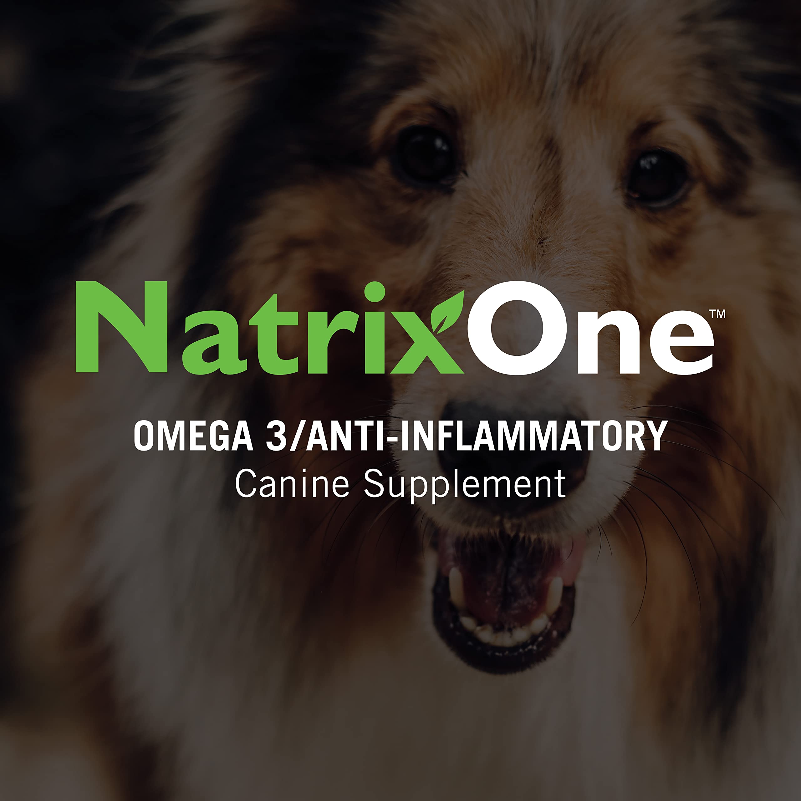 NatrixOne Certificado de sostenibilidad para mascotas