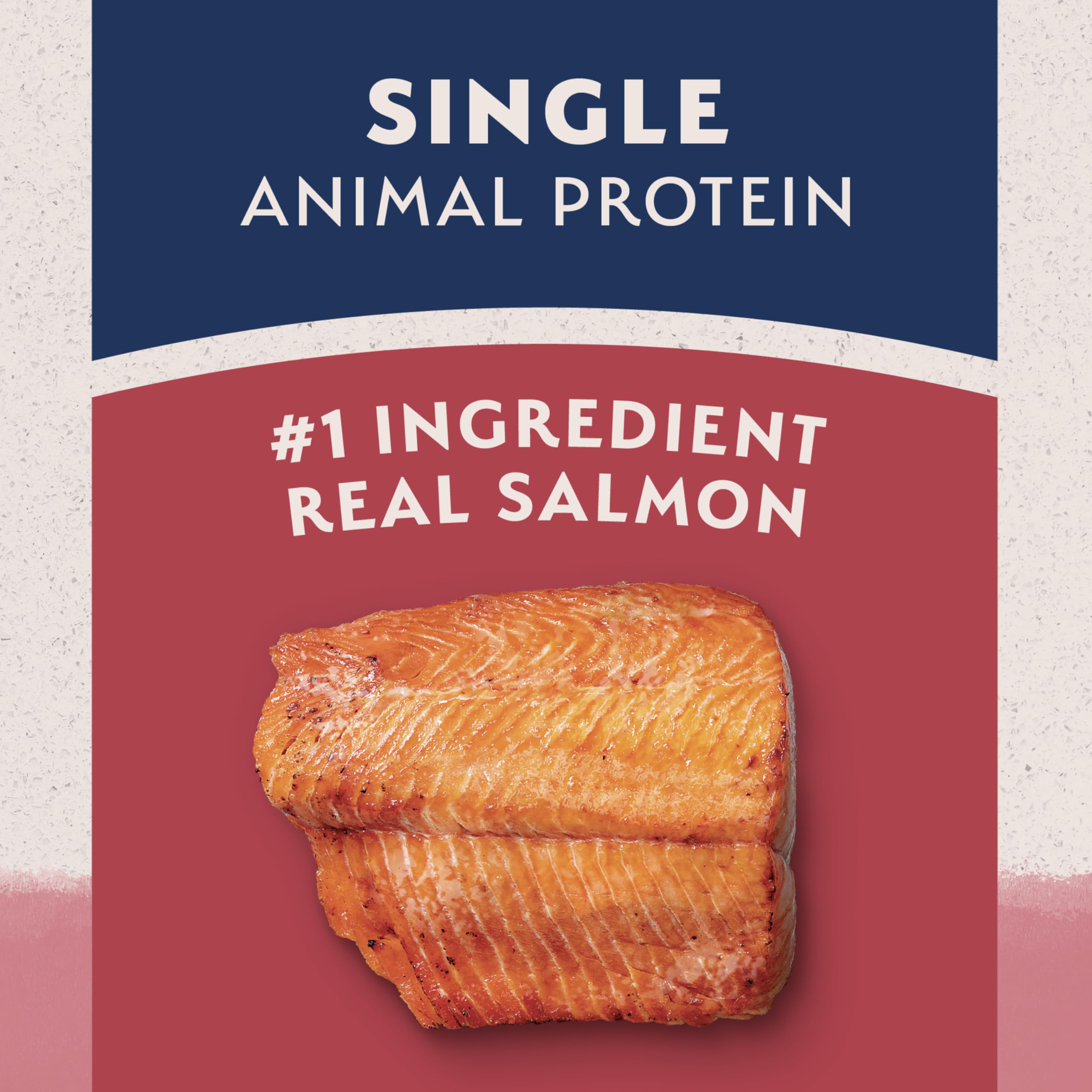 Primer plano del pelaje sano de un perro, Realce del salmón y arroz integral