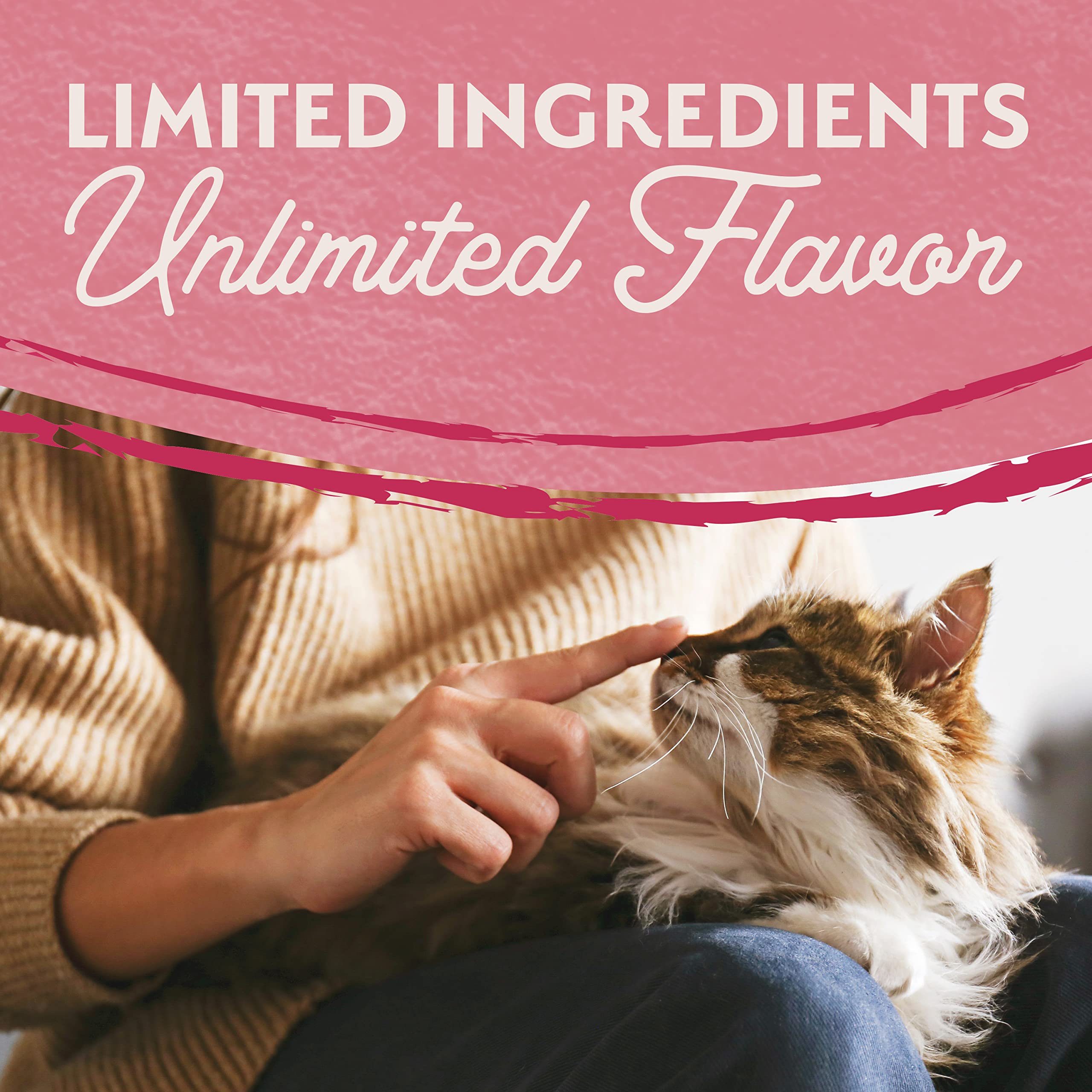 Natural Balance alimento para gatos sin granos con salmón.