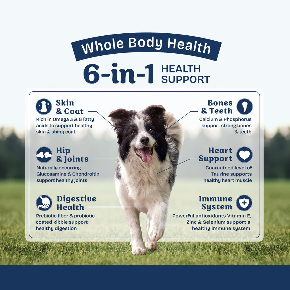 Natural Balance apoyo al corazón con nutrientes clave