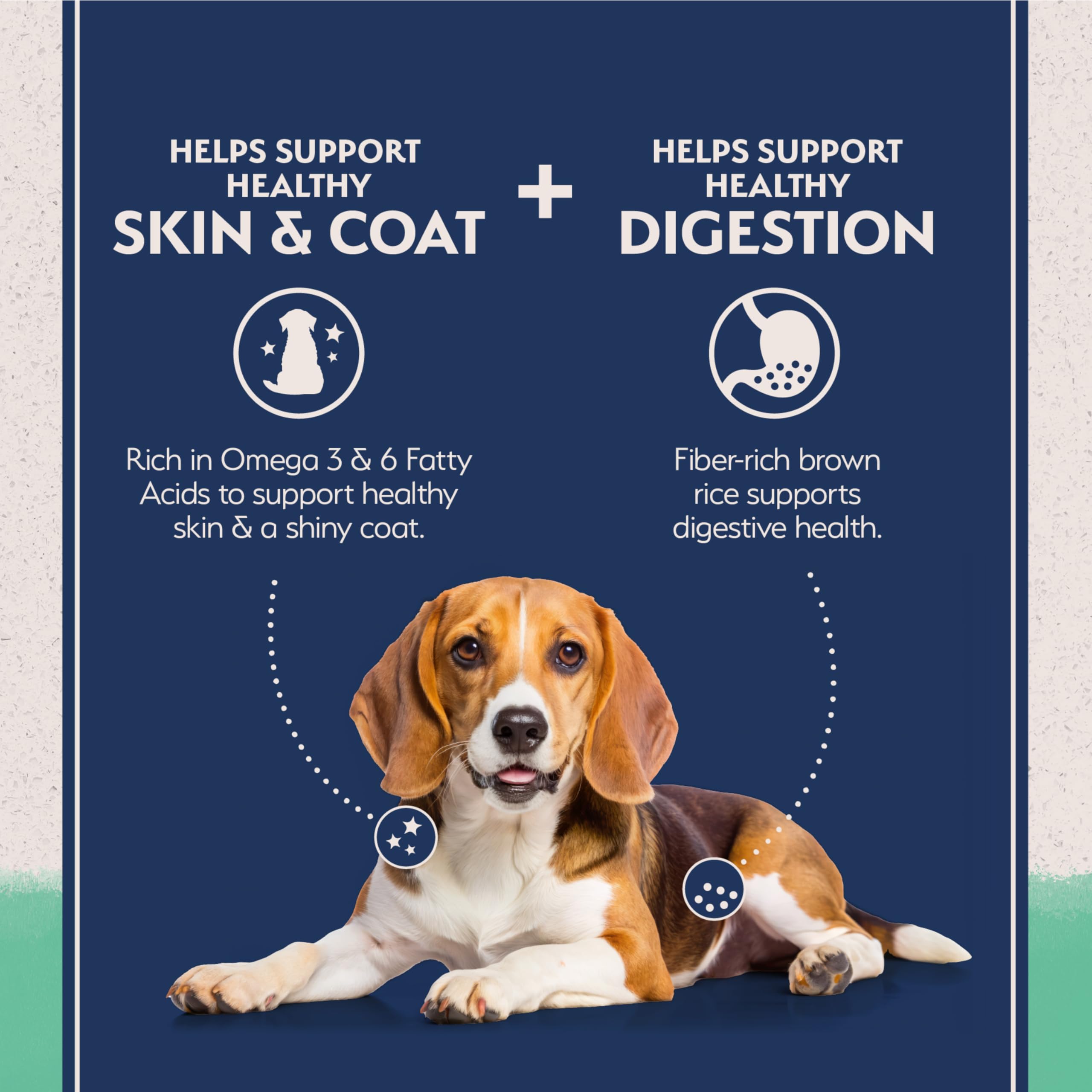 Bolsa de 12 libras de Natural Balance para perros adultos con sensibilidades