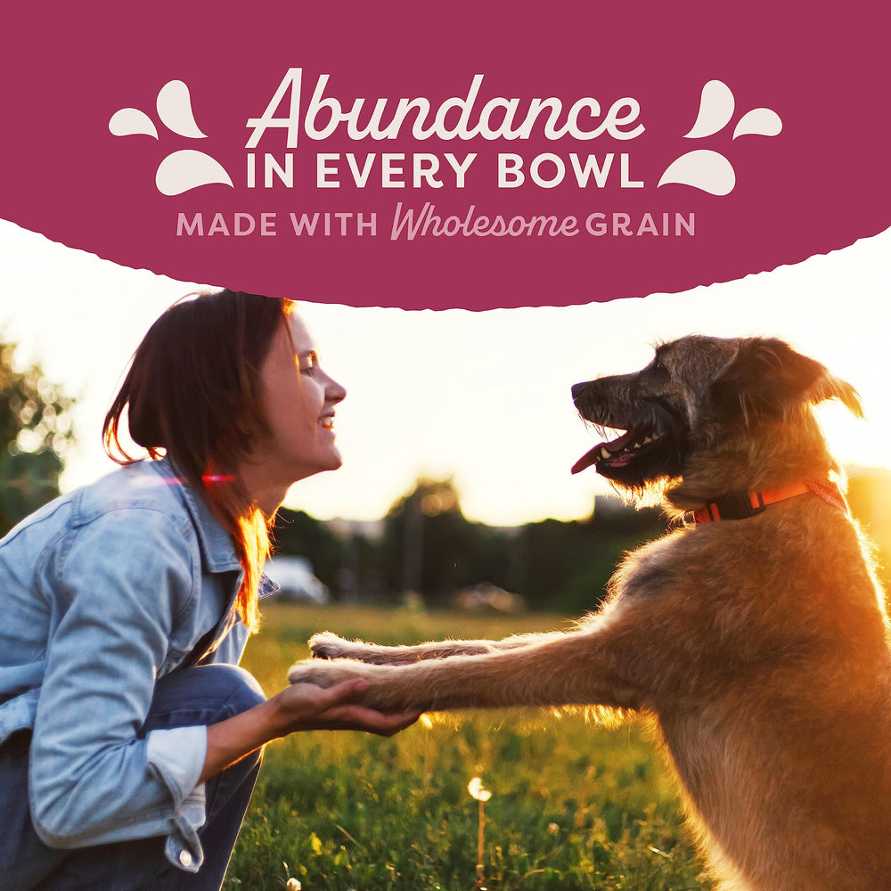 Natural Balance Fat Dogs seguridad-confianza: programa de pruebas por lote para tranquilidad.