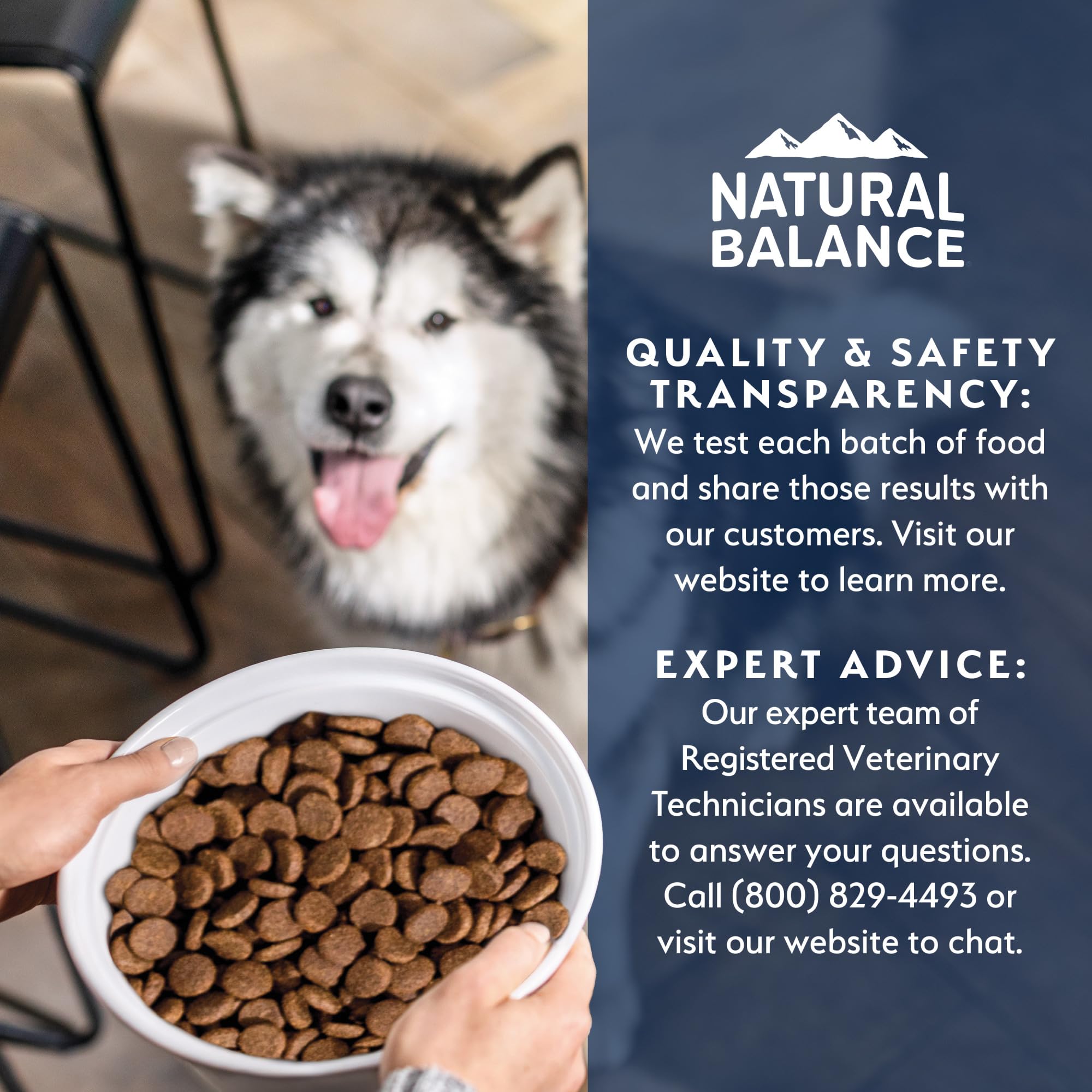Natural Balance Health Protection desarrollado con veterinarios: enfoque profesional y confiable.