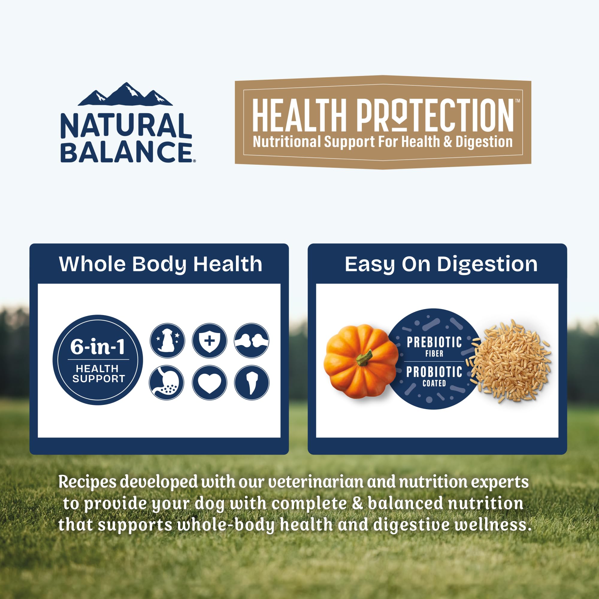 Natural Balance Health Protection Puppy: omega 3 y 6 para piel sana