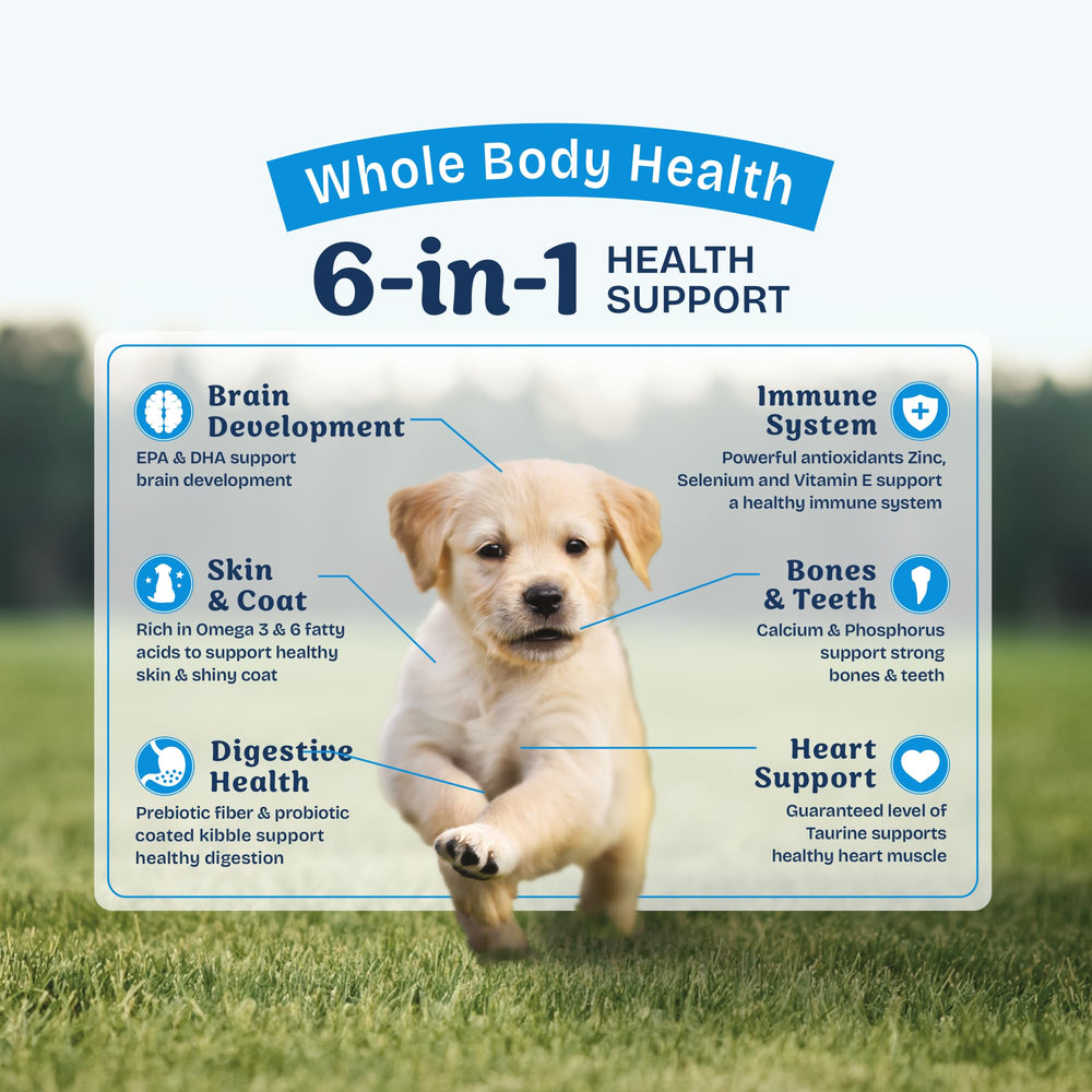 Natural Balance Health Protection Puppy: sin colores ni sabores artificiales añadidos