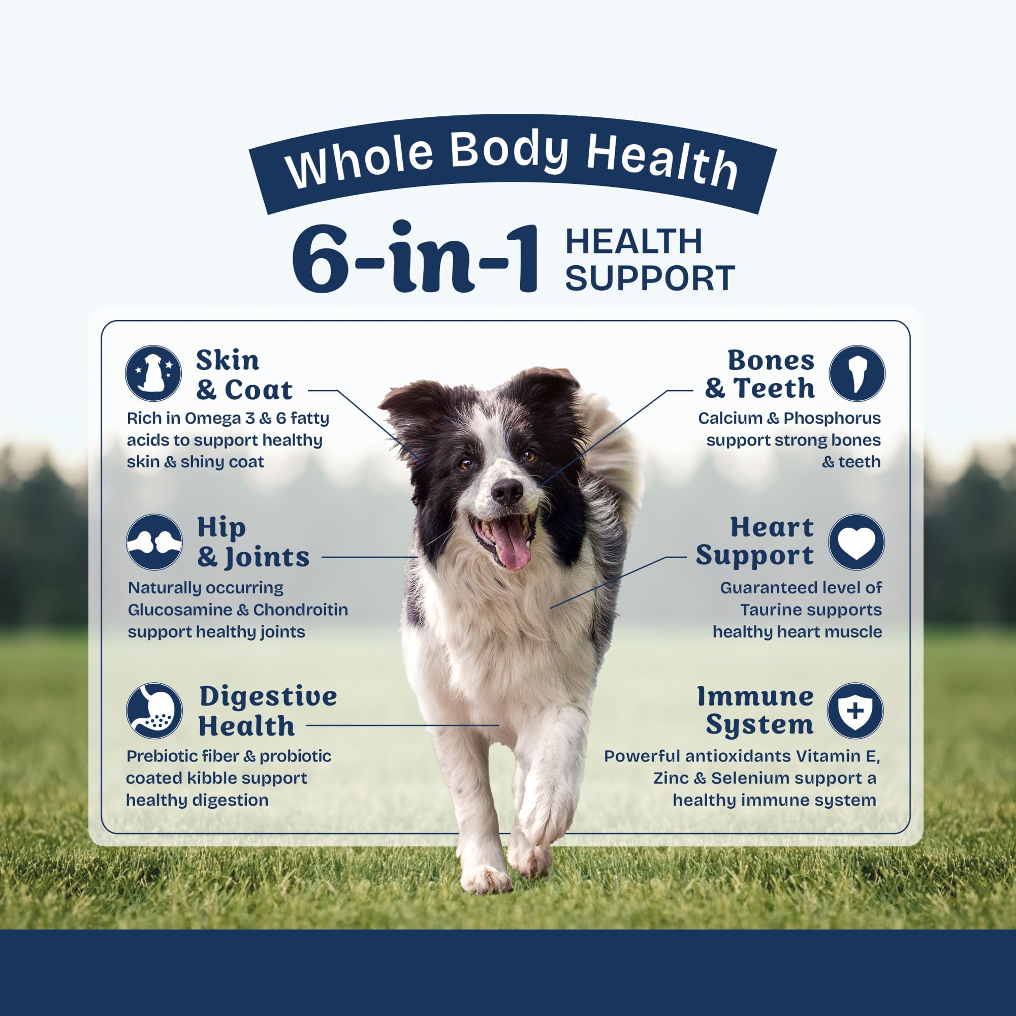 Ingredientes naturales sin maíz, soja ni trigo para perros.