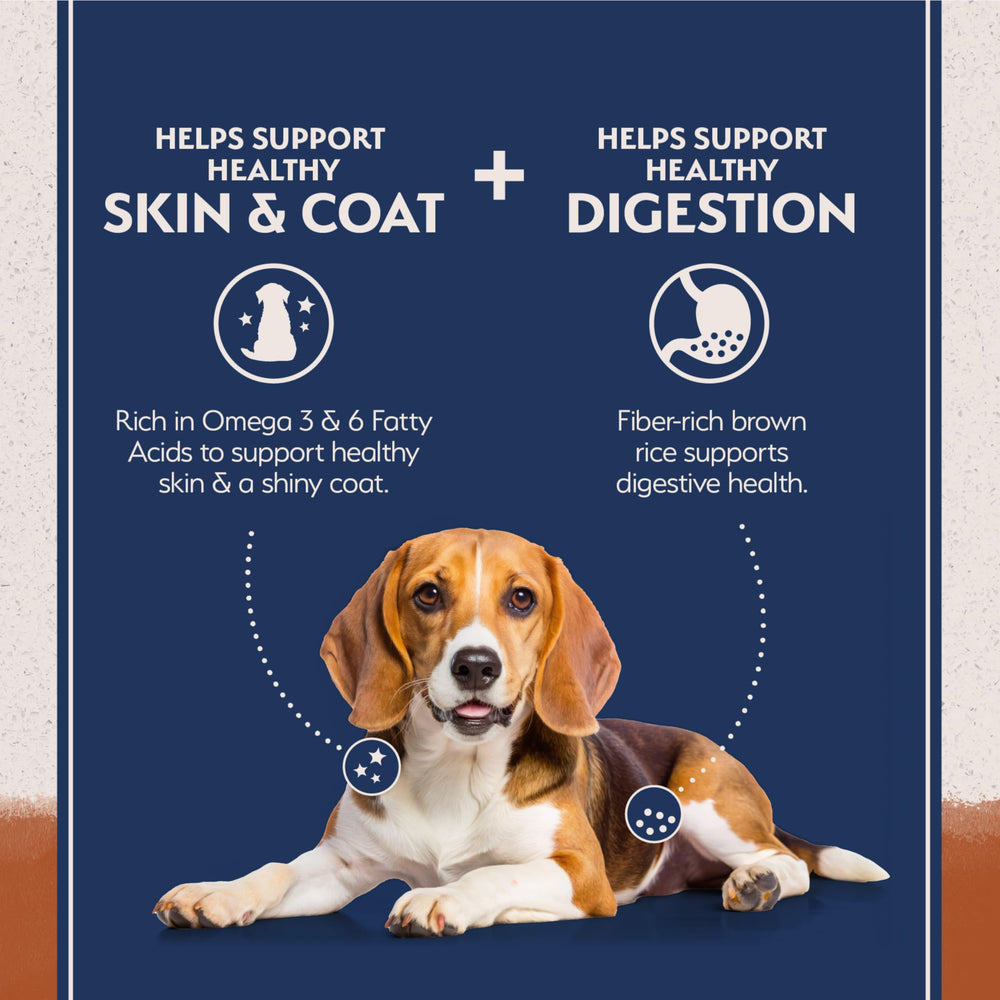 Natural Balance lista de ingredientes simples, ideal para piel y digestión.