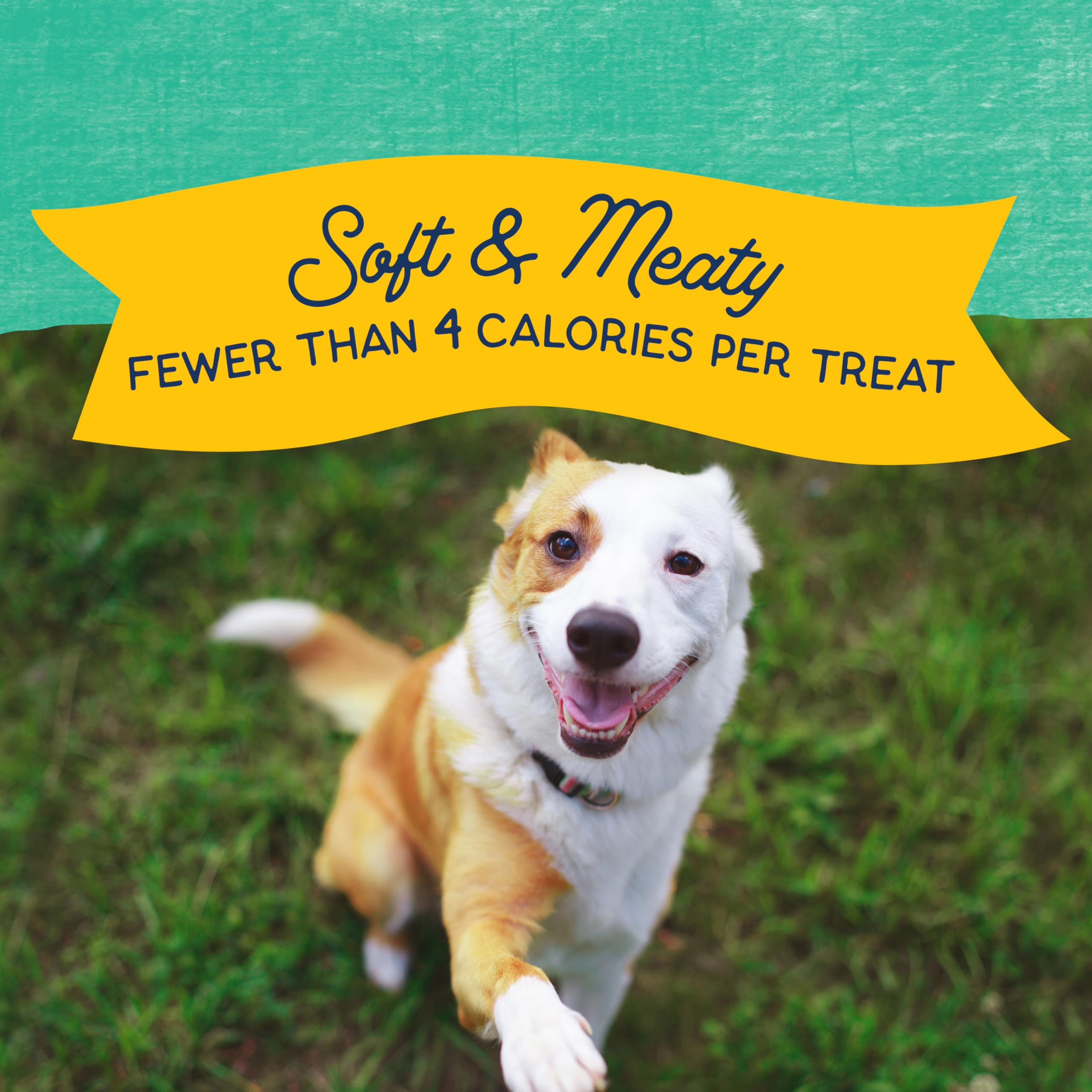 Natural Balance Mini-Rewards sin grano, opción ligera para perros