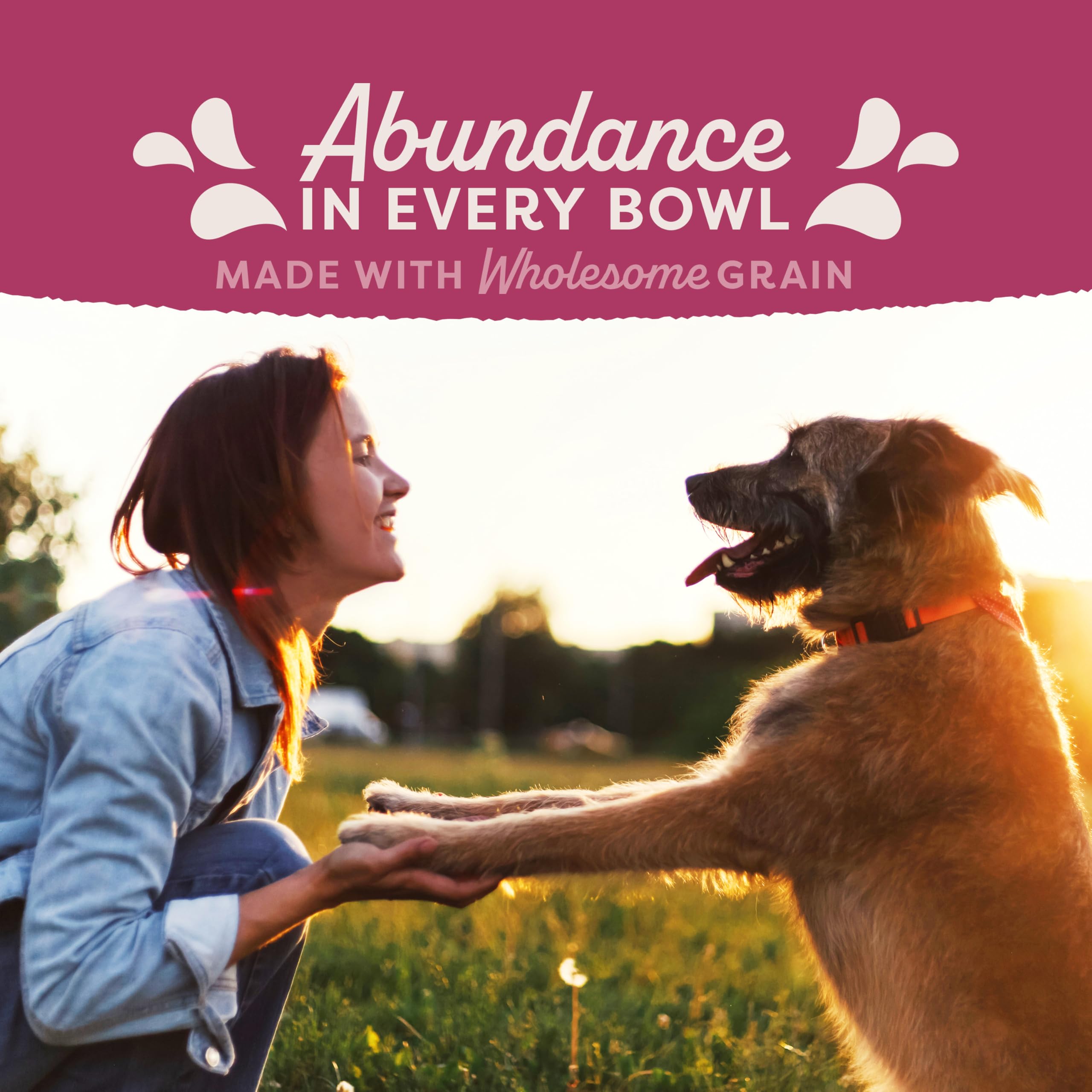 Natural Balance Original Ultra Fat, imagen de nutrición dirigida para perros.