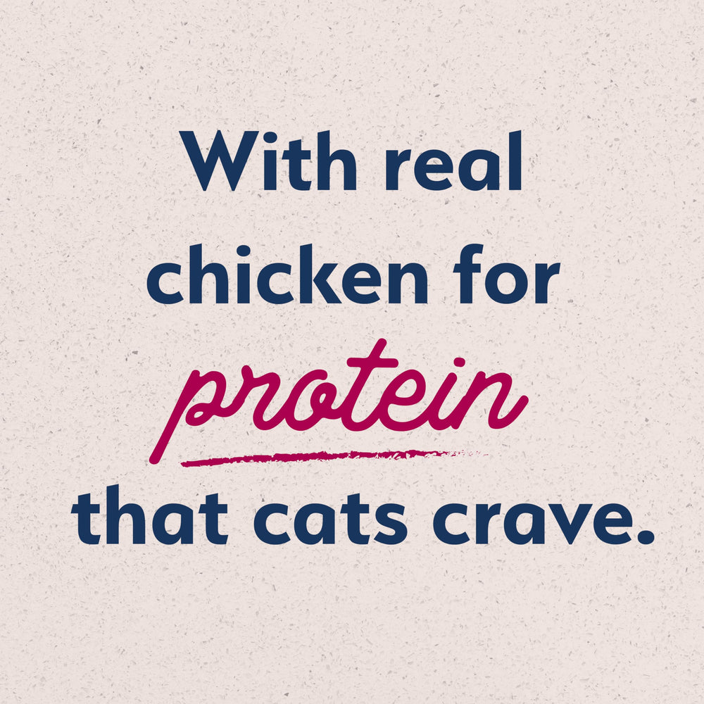 Natural Balance Original Ultra plato con croquetas, gato satisfecho tras la comida.