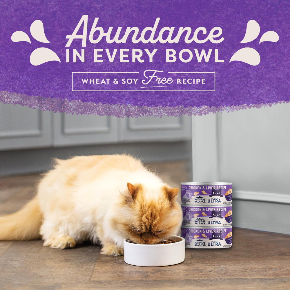 Natural Balance Original Ultra para Gatos Adultos, apoya apetito diario con sabor y textura atractivos.