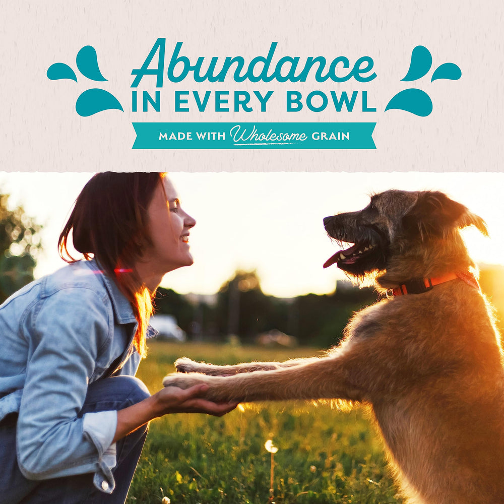 Natural Balance Original Ultra Perro-disfrutando: experiencia sabrosa para mascotas durante la comida.