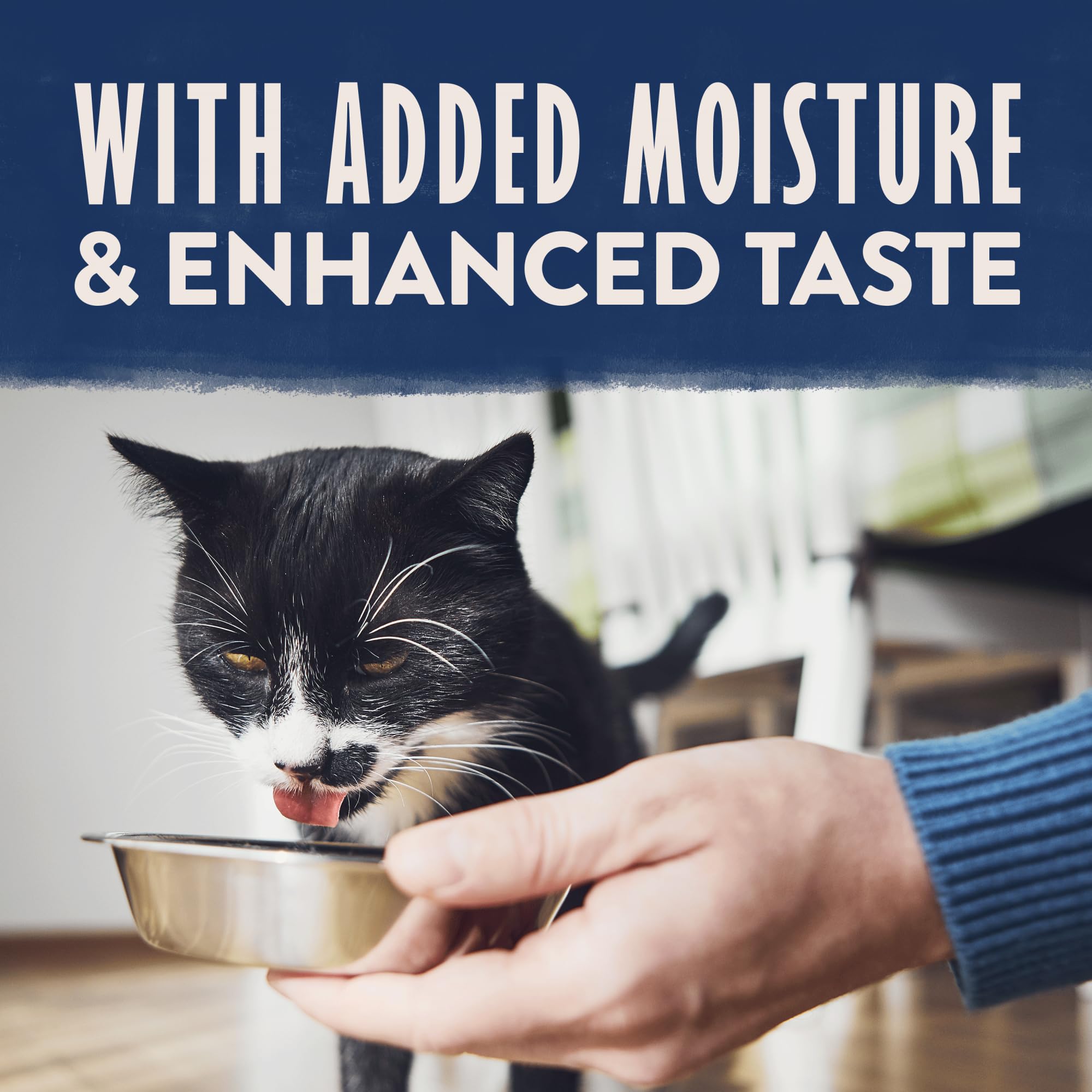 Natural Balance pate duck suave: paté sabroso para gatos con digestión suave.