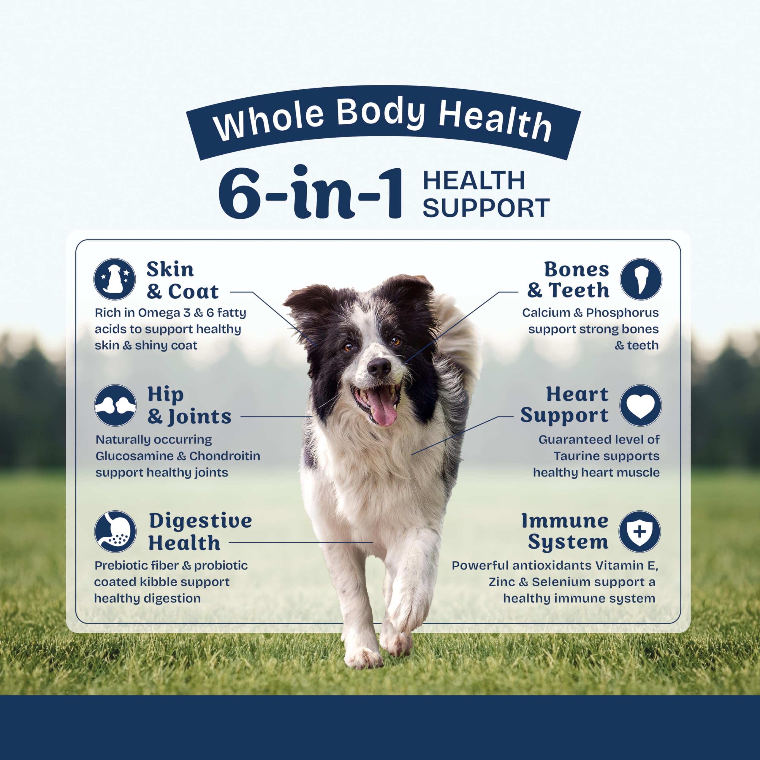 Natural Balance Protección Salud Arroz Integral: nutrición equilibrada para perros.