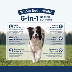 Natural Balance Protección Salud Arroz Integral: nutrición equilibrada para perros.
