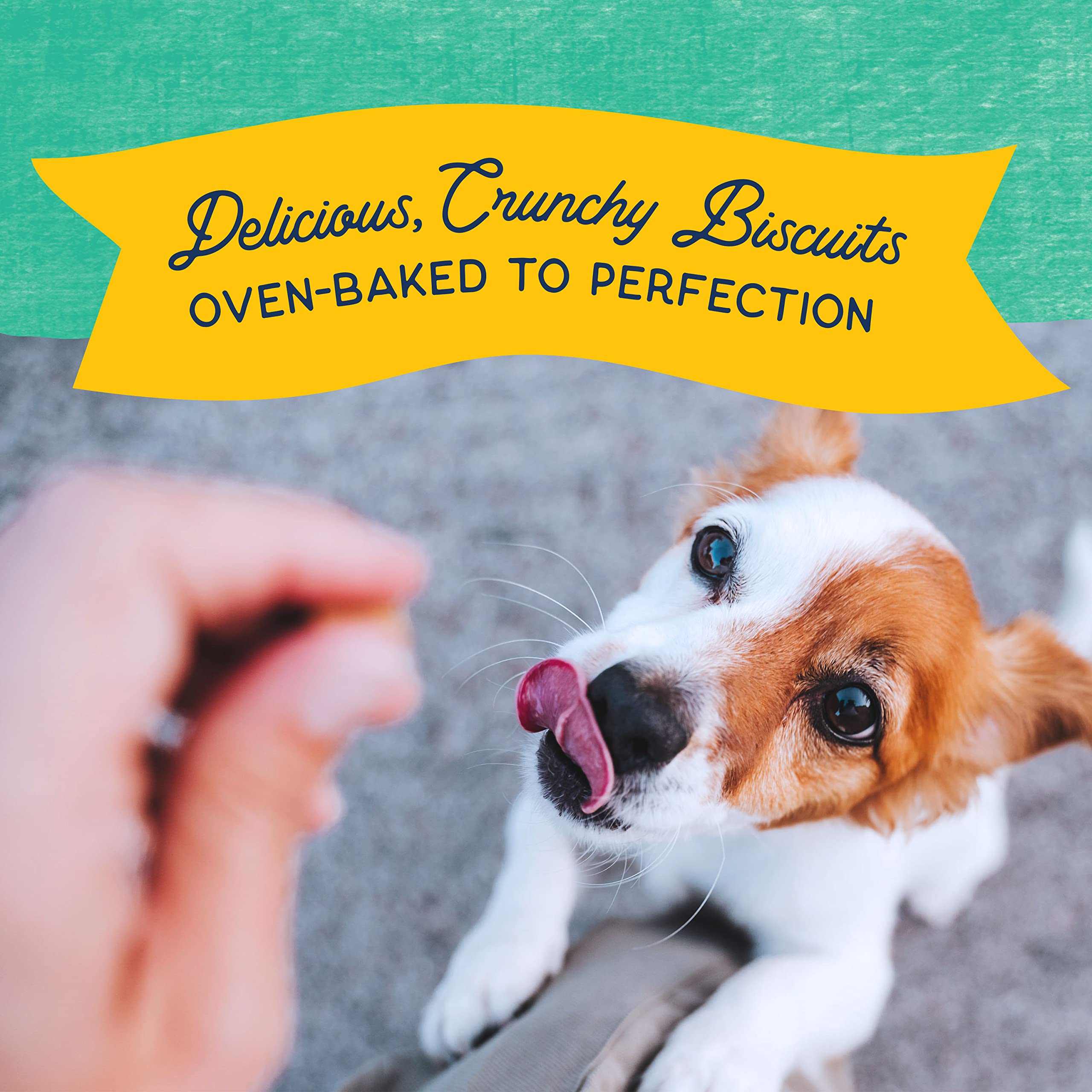 Natural Balance Rewards proteína única de pollo para perros