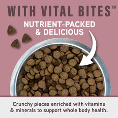 Natural Balance digestivo con avena y calabaza para estómago suave