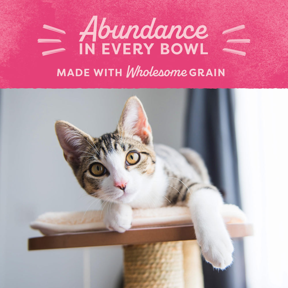 Natural Balance Ultra Fat Gatos: fórmula sin trigo ni soja para opciones sin alérgenos comunes