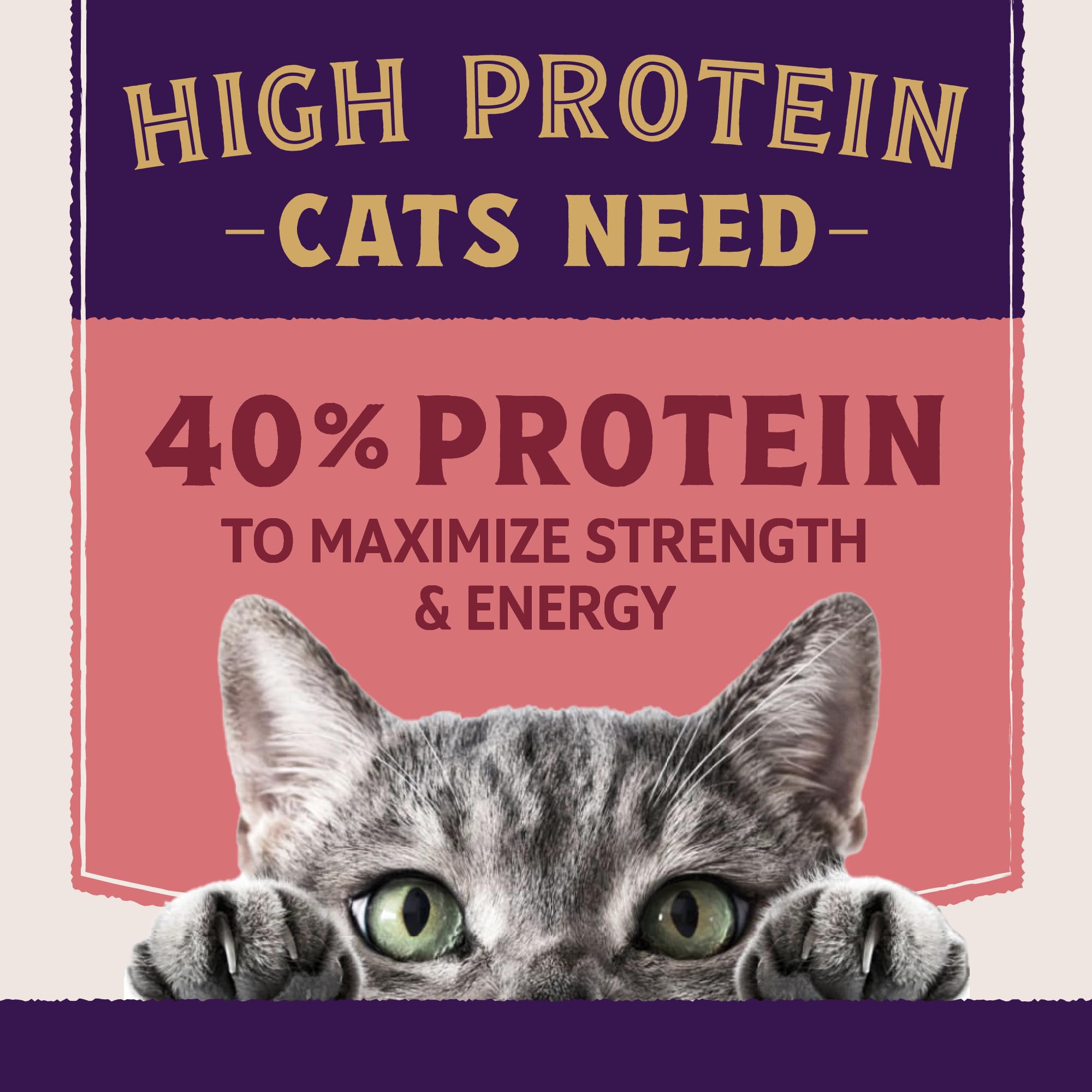 Natural Balance Ultra Protein Plus: carne real como ingrediente principal y proteína fácil de digerir