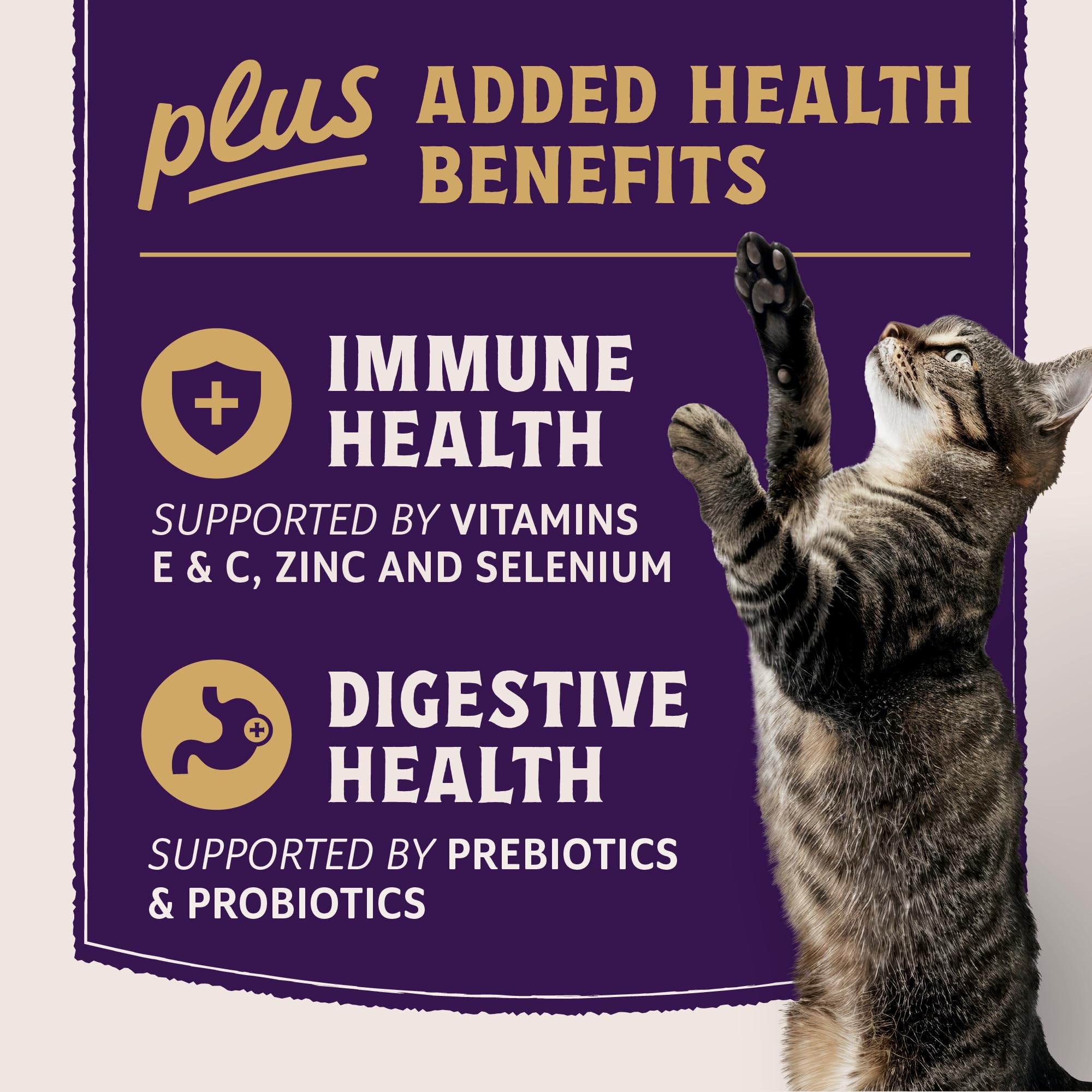 Natural Balance Ultra Protein Plus prebióticos y probióticos para digestión saludable.