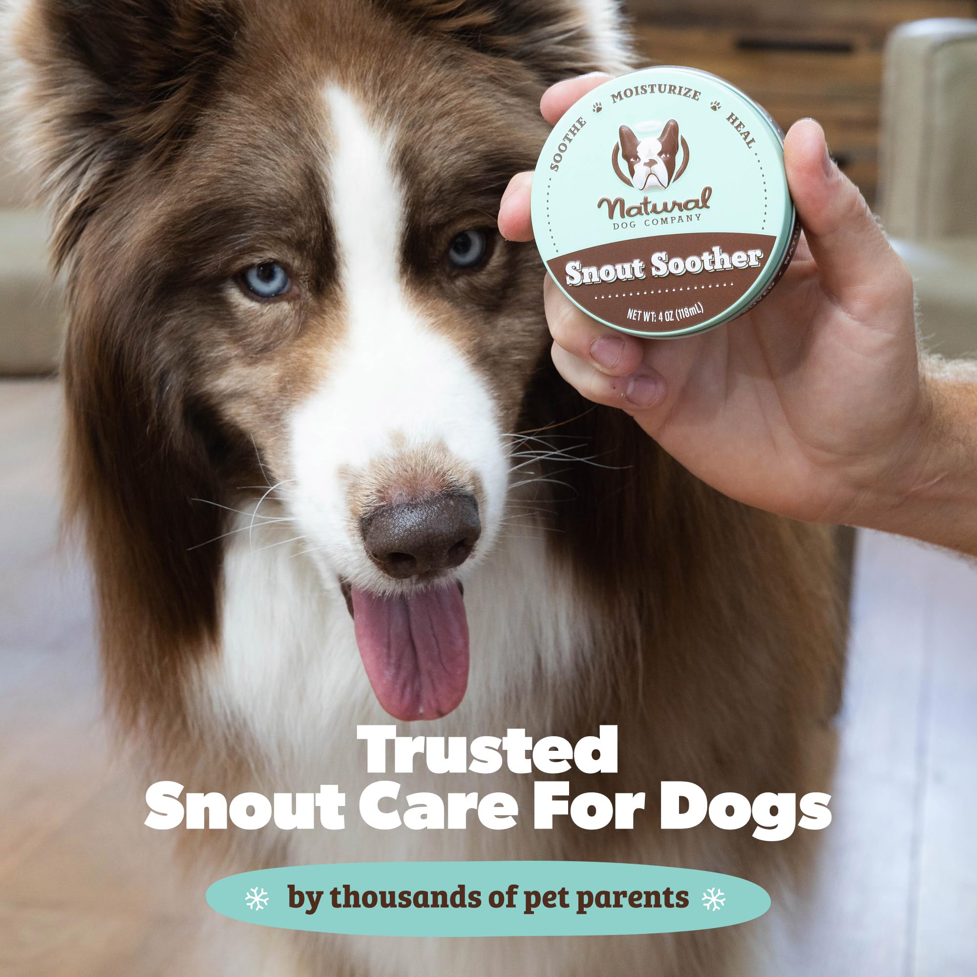 Natural Dog Company aplicación fácil en hocico para cuidado diario