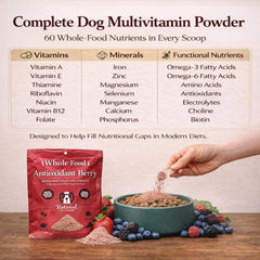 Natural Dog Company apoyo para perros mayores con antioxidantes para movilidad.