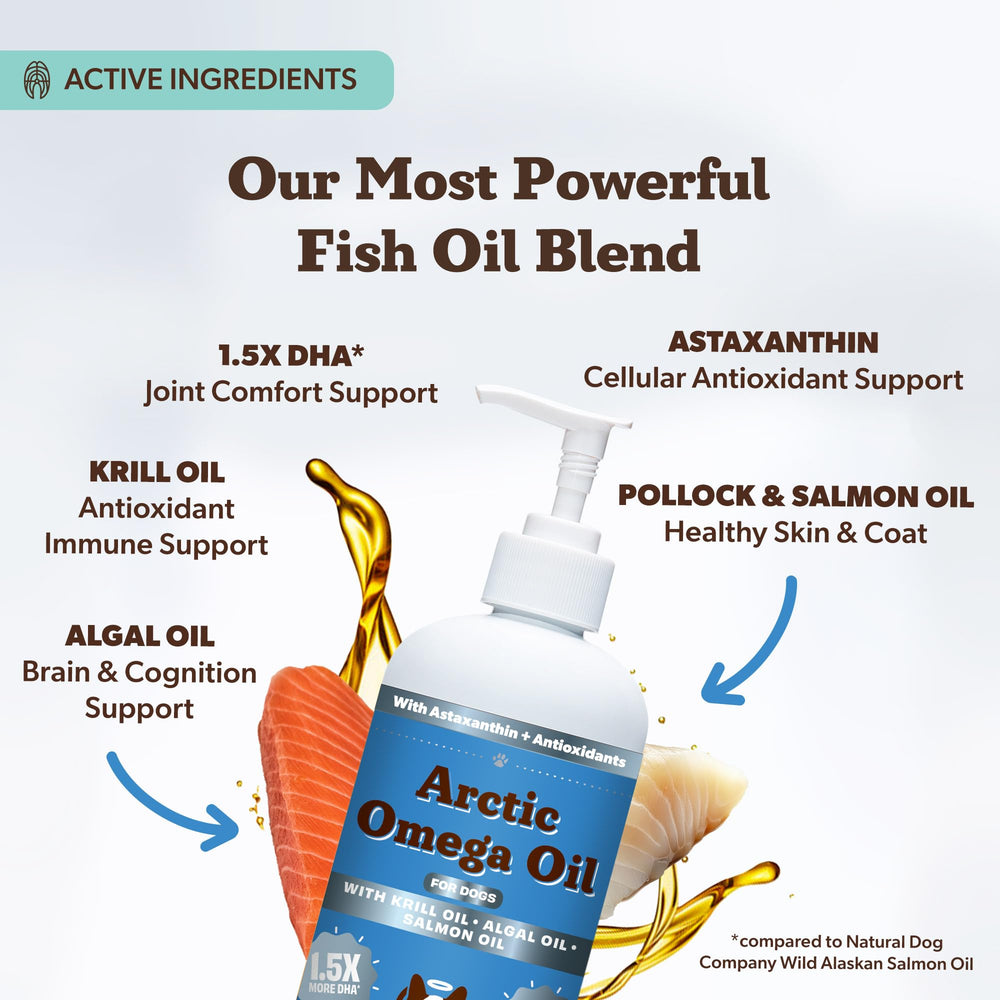 Natural Dog Company Arctic Omega Oil con bomba, fácil dosificar en la comida